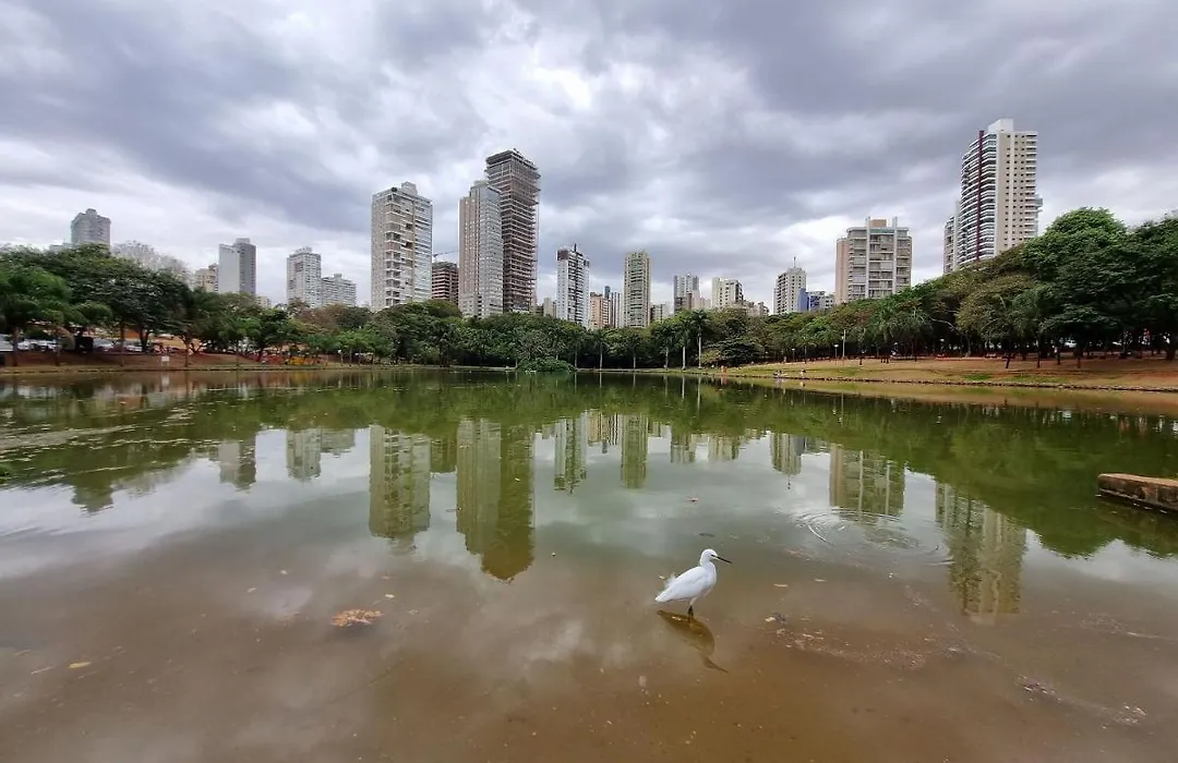 Cantinn El9 Q Ap Com Vista Para O Pq Vaca Brava-1