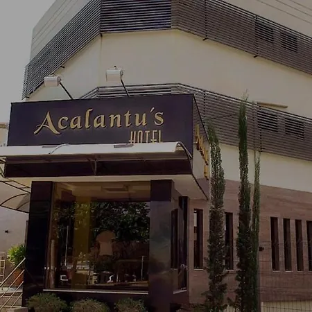 Acalantus Hotel-3